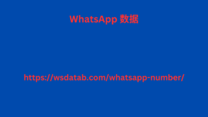 WhatsApp 数据