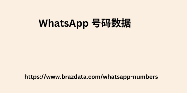 WhatsApp 号码数据